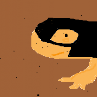Newt