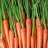 carrots