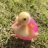 Ducky!