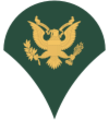 Army-USA-OR-04b.svg