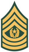 Army-USA-OR-09b.svg