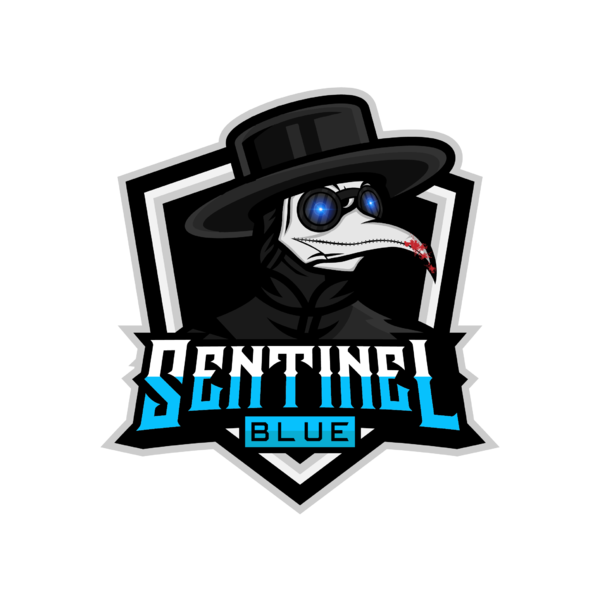 File:Sentinel blue's 2nd pfp.png