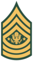 Army-USA-OR-09a.svg